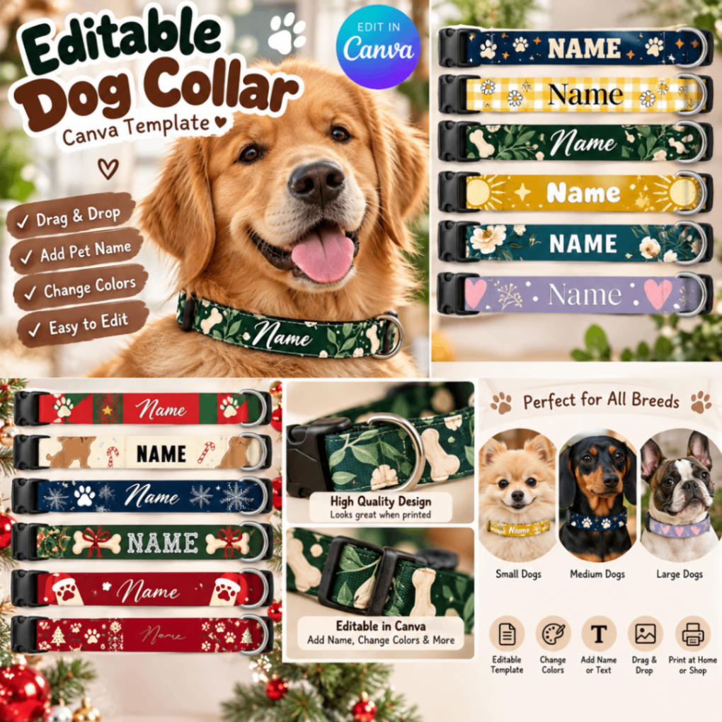 Pet Collar